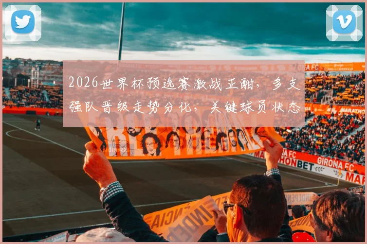 2026世界杯预选赛激战正酣，多支强队晋级走势分化，关键球员状态成胜负手