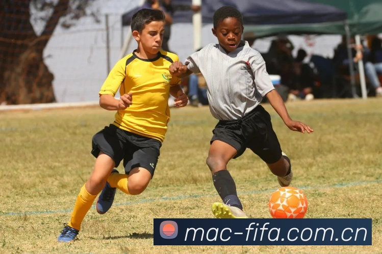 产品总监